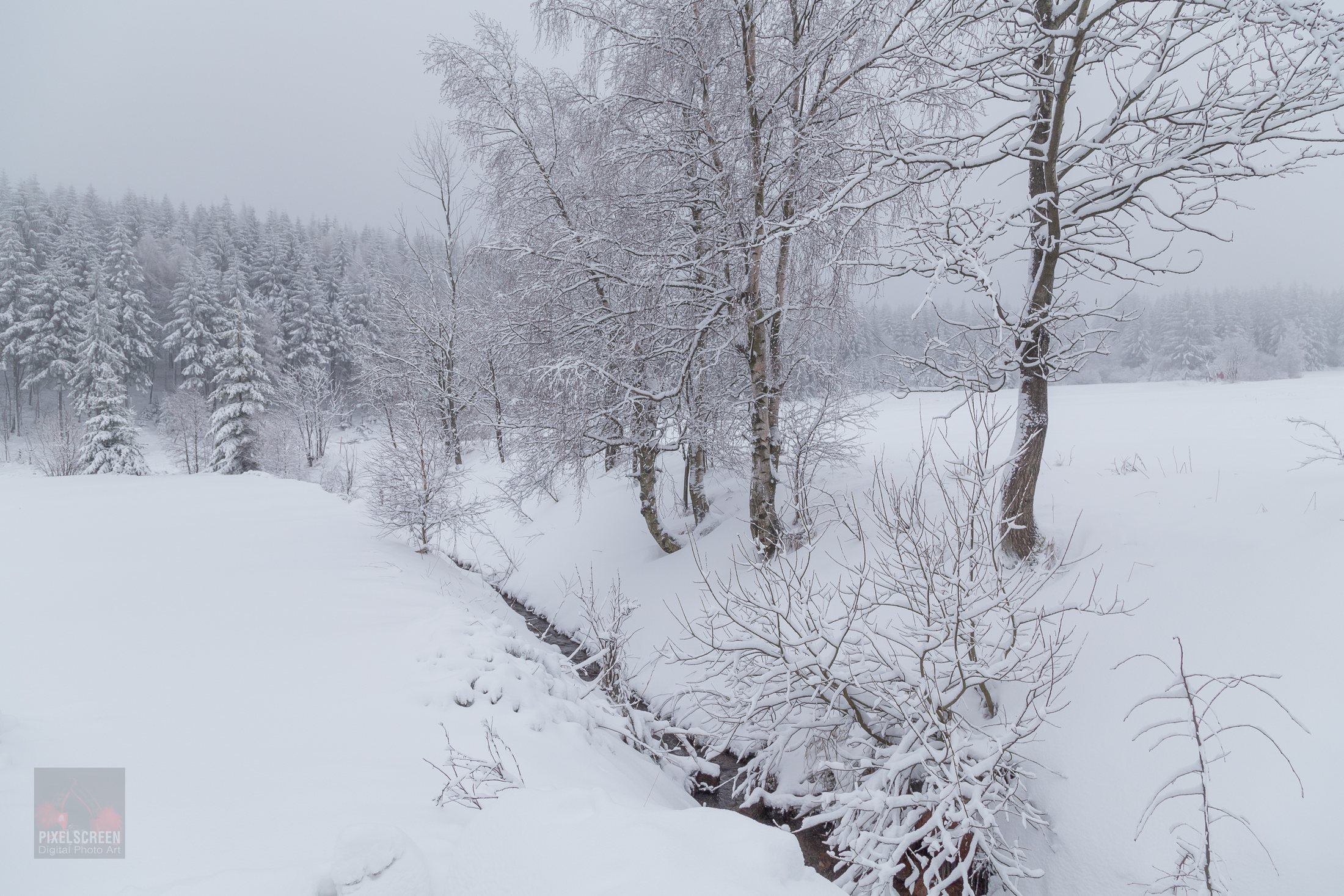 Verschneite Winterlandschaft bei Altenberg im Osterzgebirge