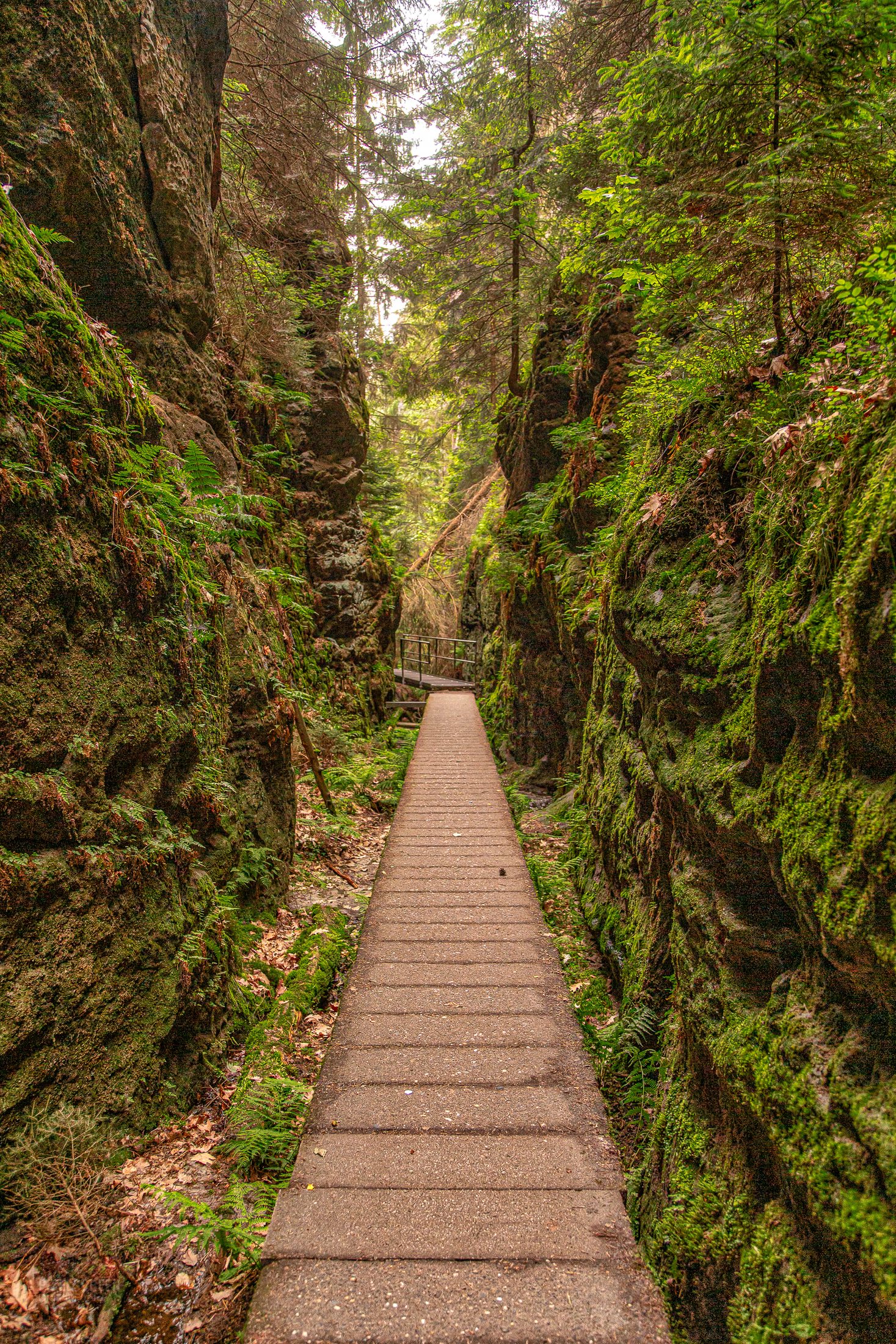 Wanderweg durch die moosbewachsenen Schwedenlöcher
