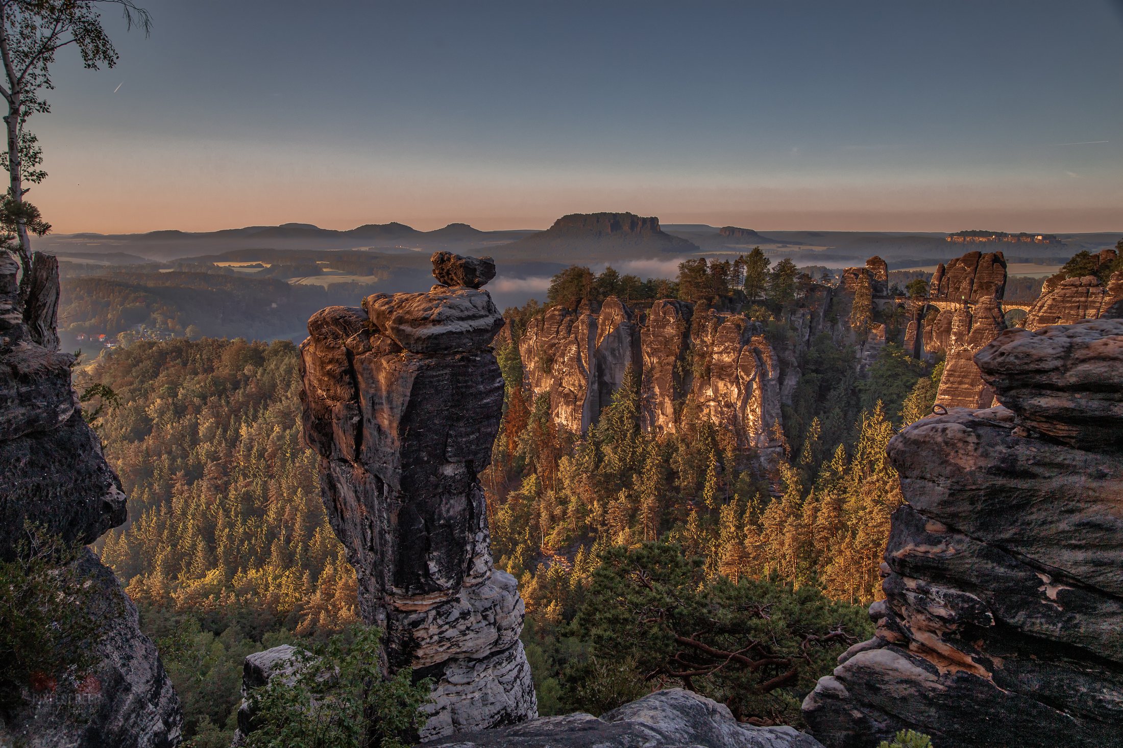 Wehlnadel und Felslandschaft im Morgenlicht